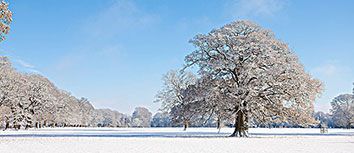 国安战术调整得当，击败对手