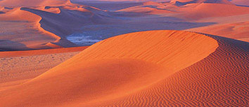 大阪樱花憾负对手，小组排名末位